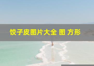 饺子皮图片大全 图 方形